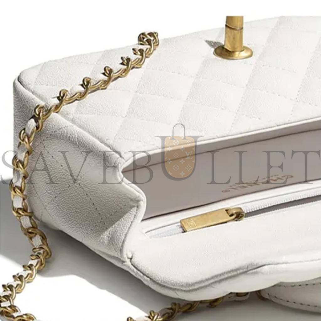 CHANEL  MASTER WOMEN'S CLASSIC FLAP CF HANDBAG AS2431 (20*13*9cm)